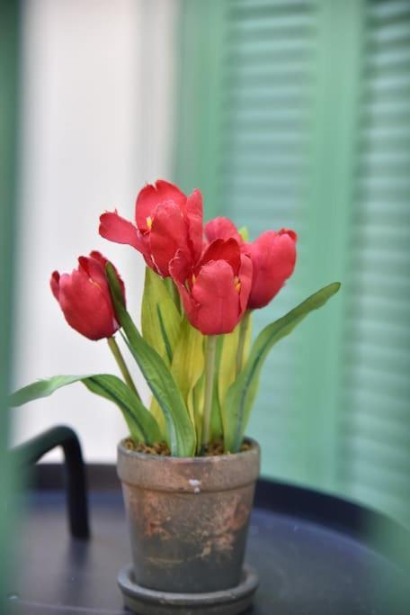Tiny Treasure Apartment Athens Ngoại thất bức ảnh